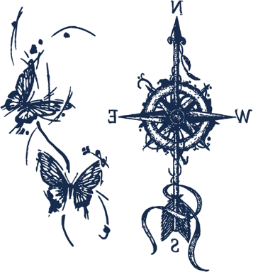 Butterfly Compass