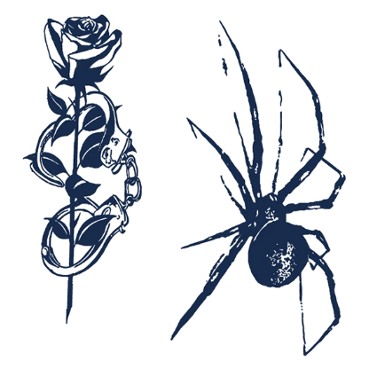 Rose & Spider